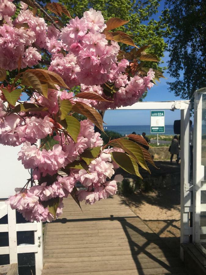 Blue Boat Apartment Sopot Ngoại thất bức ảnh